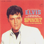 spinout.jpg (17576 Byte)