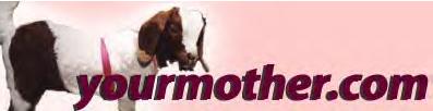 Your Mother