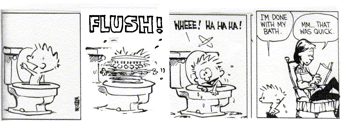 Calvin and Hobbes, by Bill Watterson