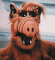 Gordon Shumway