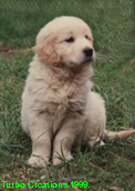A young Chubba!