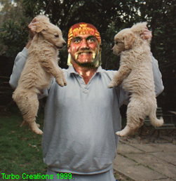 Chubba S Dog, George Dog and Kennel owner H Hogan.
