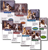 Advantage Dog and Cat Flea Treatment Medicine at iscount Prices!