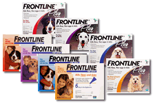 Lowest Prices on Frontline Plus Flea Tick Medication for Dgos, Cats and Puppies