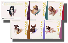 Revolution Flea Control Medicine for Dogs, Cats and Puppies. Revolution Pet Medication Provides Complete Parasite Protection.