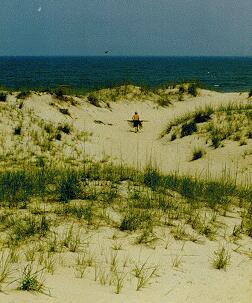 SAND DUNES