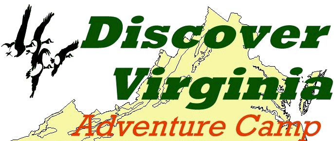 Discover