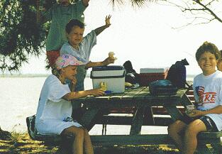 PICNICING
