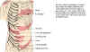 Head_zones_xxadrian_20020501_130135_rev_A.jpg (55566 bytes)