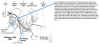 antoart1_xxadrian_20020608_083923_rev_A, Notes.jpg (68702 bytes)