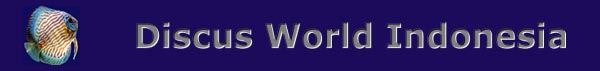 DWI banner