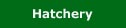 Hatchery button