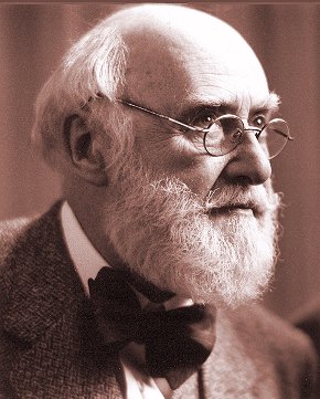 Michael Sinelnikoff