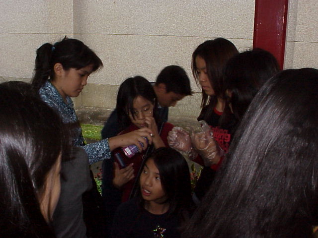 the hair-dye section