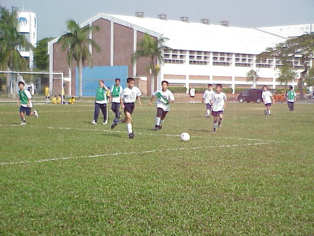 Kourosh in action!