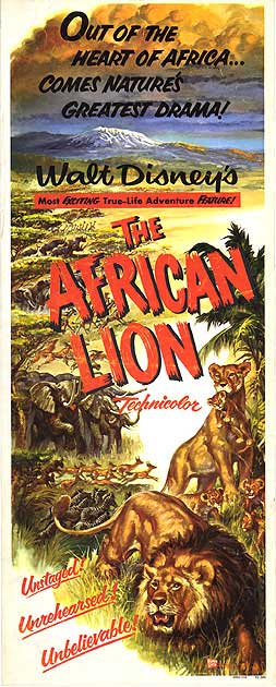 African Lion poster