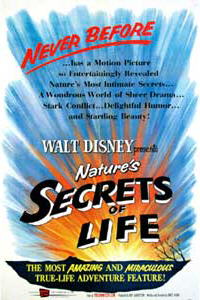 Secrets Of Life poster