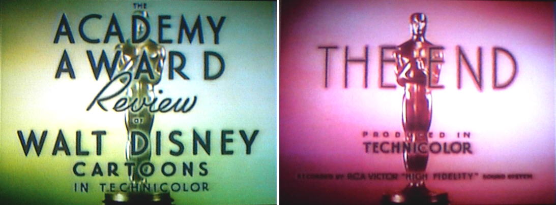 Academy Award Shorts