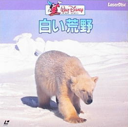 White Wilderness