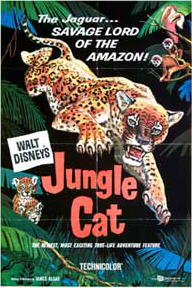 Jungle Cat poster