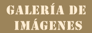 Galer�a de Im�genes