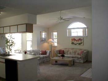 Counter Living Rm.jpg (18943 bytes)