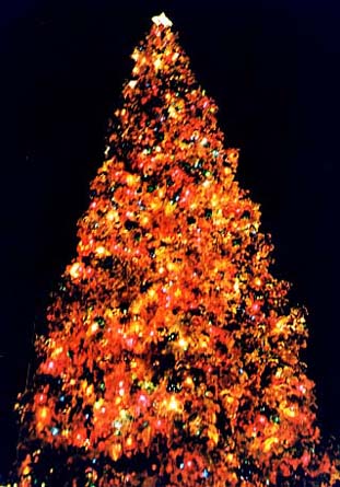 /user/mainxmasnt2.jpg