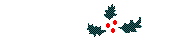 holly