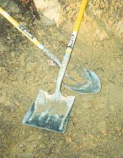 dig