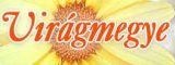 Virágmegye