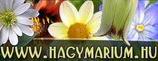 Hagymárium