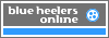 Blue Heelers Online