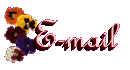 Email Me