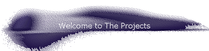 Welcome to The Projects