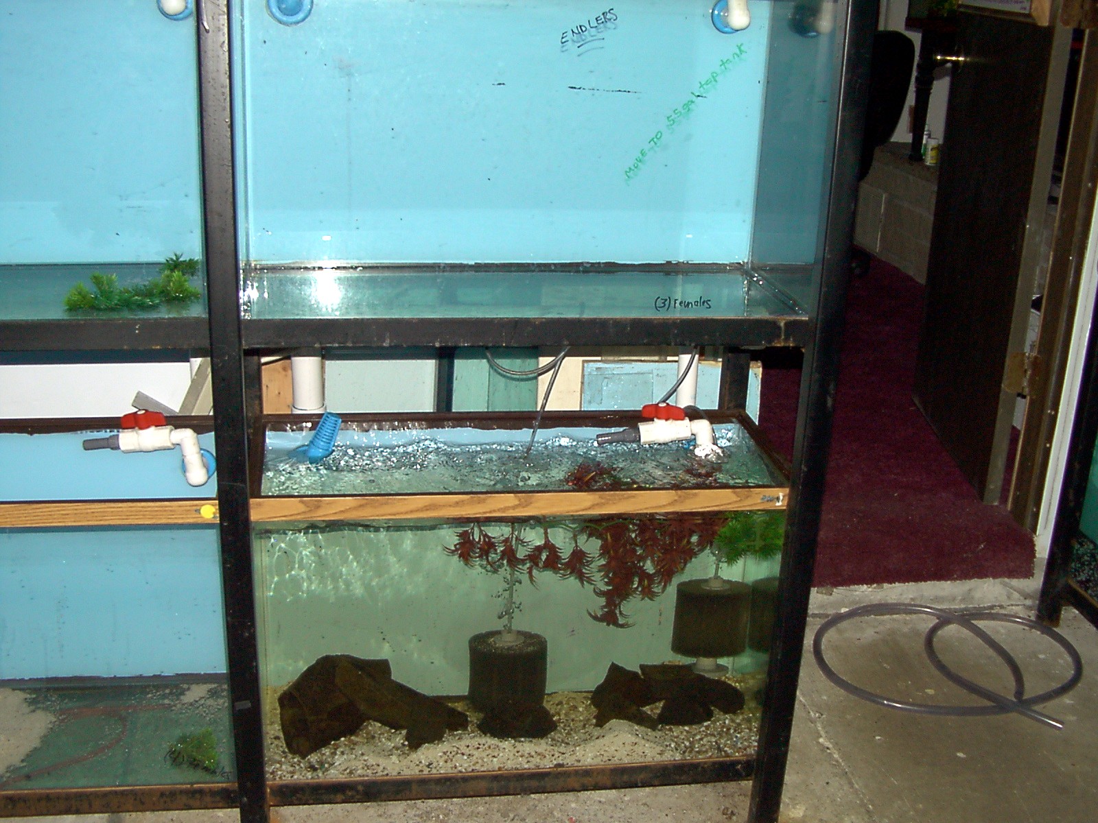 Pre-drilled tank with bulkhead Assemblies