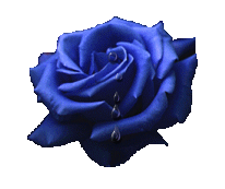 blaros.gif (22236 bytes)