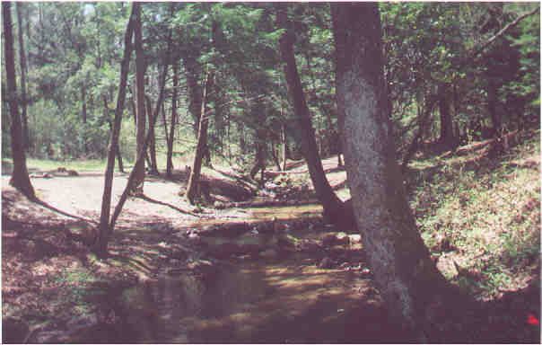 DOWNSTREAM