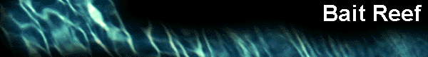  Bait Reef 