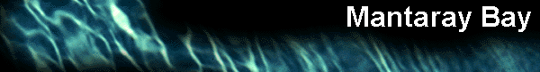  Mantaray Bay 