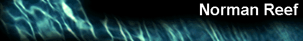  Norman Reef 