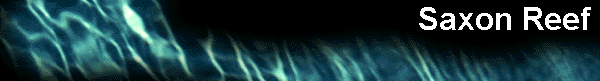  Saxon Reef 