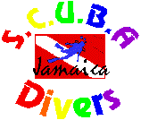 Jamaica Scuba Divers for the best in Kid friendly diving.