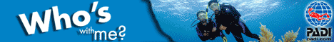 Go Dive Referrals http://www.padi.com/padi/en/promo/godive/default.aspx