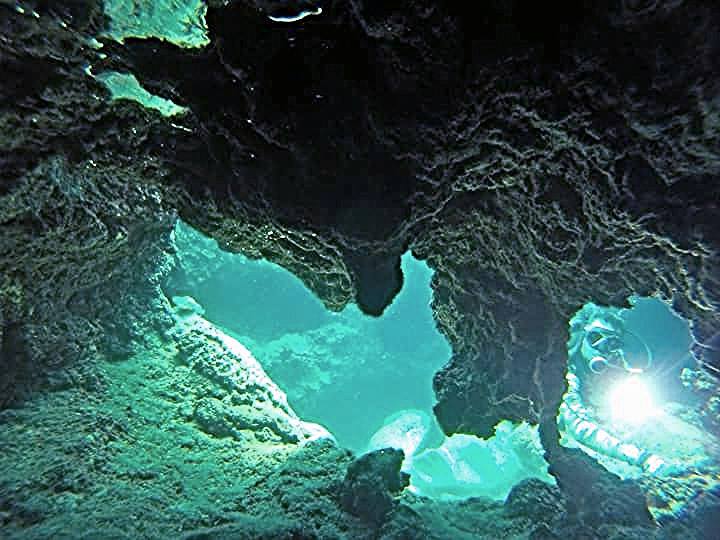 Night Dive