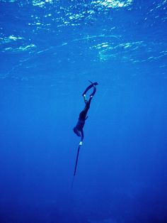 Spear Fishing