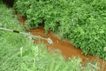 Surface Water Sample Collection