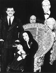 addams.jpg 