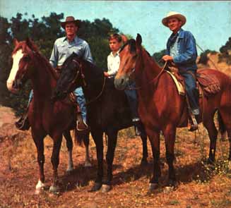 Jim, Joey i Pete (23262 bytes)