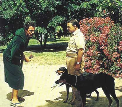 Magnum i Higgins