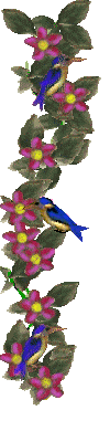healer, clairvoyant aura reader, chakra reader, spiritual advisor, dream interpreter